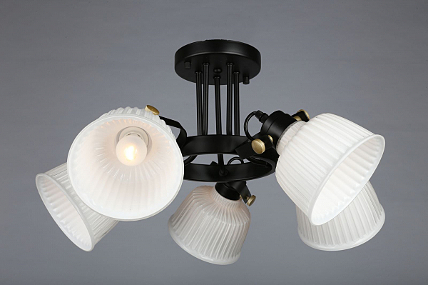 Потолочная люстра Zamora OML-28207-05