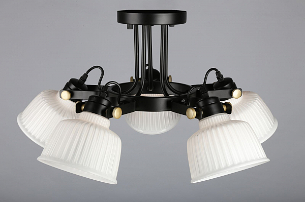 Потолочная люстра Zamora OML-28207-05