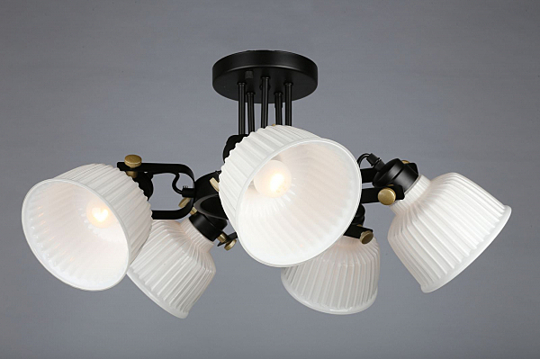 Потолочная люстра Zamora OML-28207-05