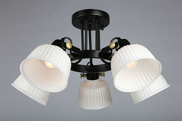 Потолочная люстра Zamora OML-28207-05