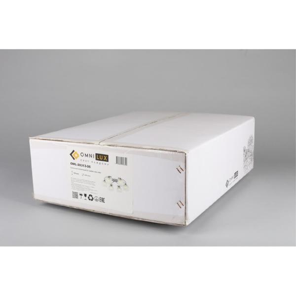 Потолочная люстра Saragossa OML-28313-06