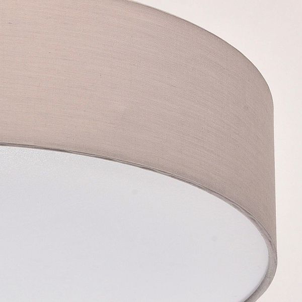 Светильник потолочный Дафна 453011501