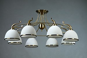 Brizzi 2401