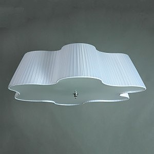 Brizzi 3203