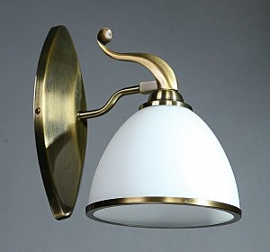 Brizzi 2401