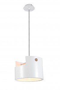 Светильник подвесной Cube 5590