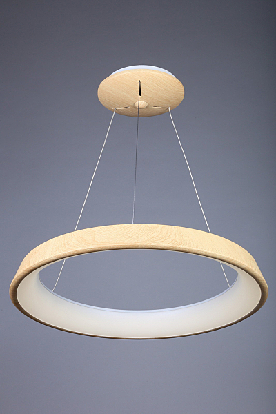 Светильник подвесной Neoneli OML-48603-50