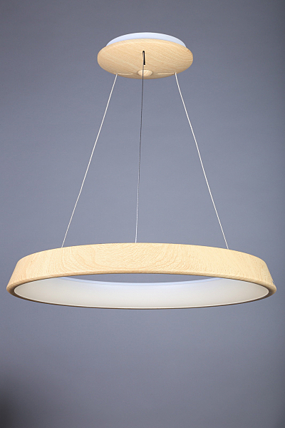 Светильник подвесной Neoneli OML-48603-50