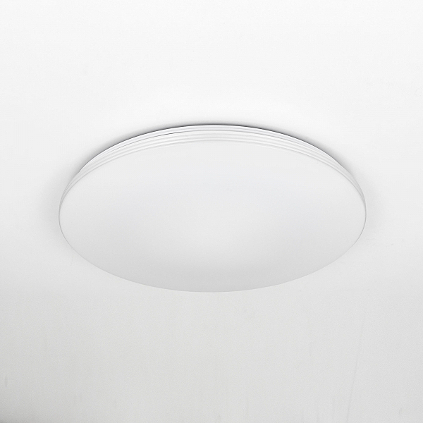 Светильник потолочный Симпла CL714R48N