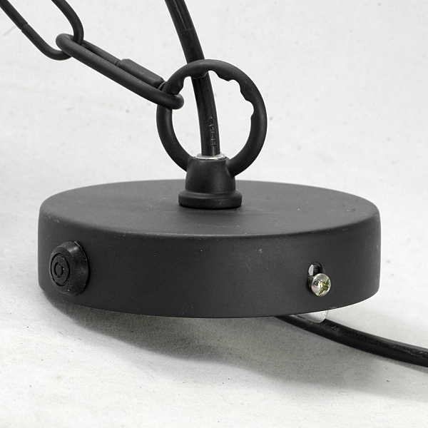 Светильник подвесной Buffalo LSP-9994