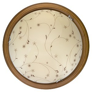 Настенно потолочный светильник Karissa TL9650Y-00OA