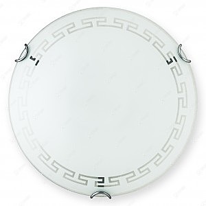 Настенно потолочный светильник Maude TL9161Y-01WH