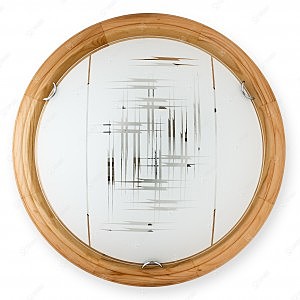 Настенно потолочный светильник Zier TL9153Y-02PN