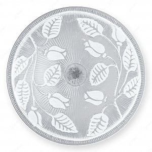 Настенно потолочный светильник Alexandra TL9121Y-02WH