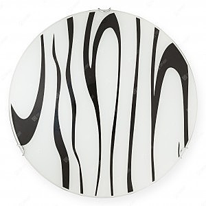 Настенно потолочный светильник Leaga TL9252Y-02WH