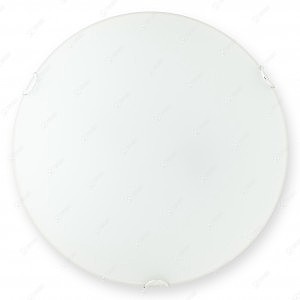 Настенно потолочный светильник Hillary TL9021Y-02WH