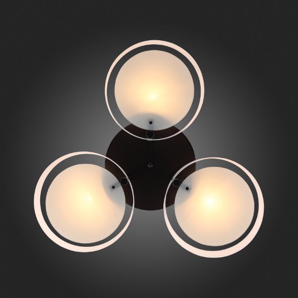 Потолочная люстра Foresta SL483.402.03