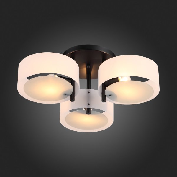 Потолочная люстра Foresta SL483.402.03