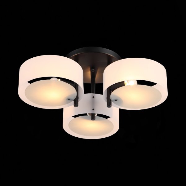 Потолочная люстра Foresta SL483.402.03