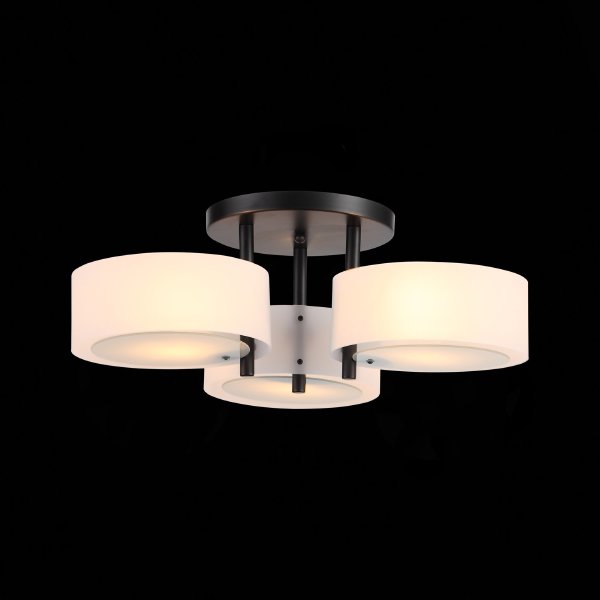 Потолочная люстра Foresta SL483.402.03