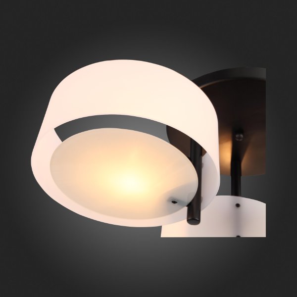 Потолочная люстра Foresta SL483.402.03