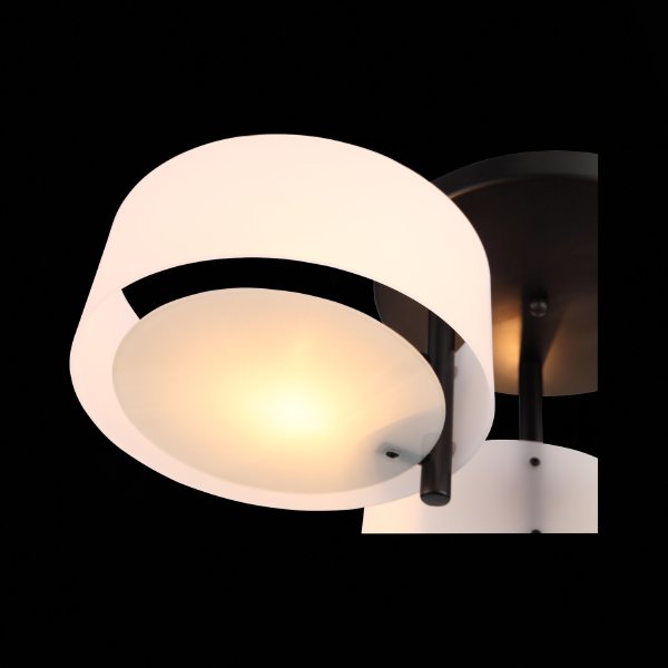 Потолочная люстра Foresta SL483.402.03