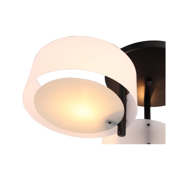 Потолочная люстра Foresta SL483.402.03