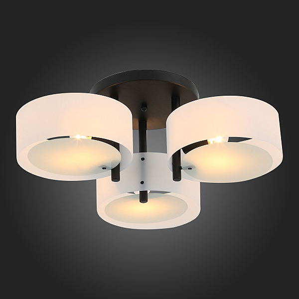 Потолочная люстра Foresta SL483.402.03