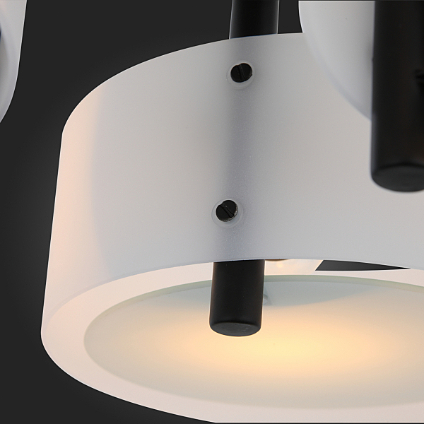 Потолочная люстра Foresta SL483.402.03