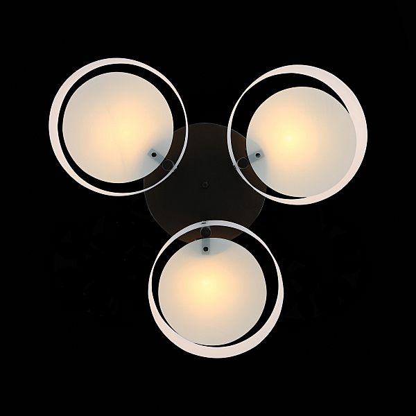 Потолочная люстра Foresta SL483.402.03