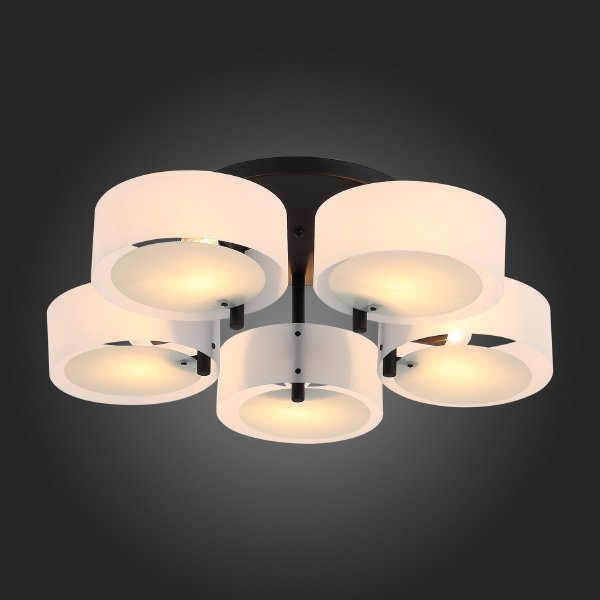 Потолочная люстра Foresta SL483.402.05