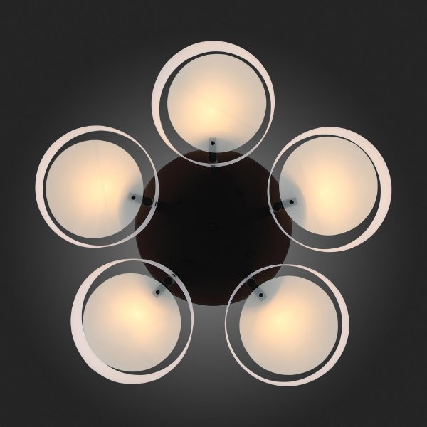 Потолочная люстра Foresta SL483.402.05