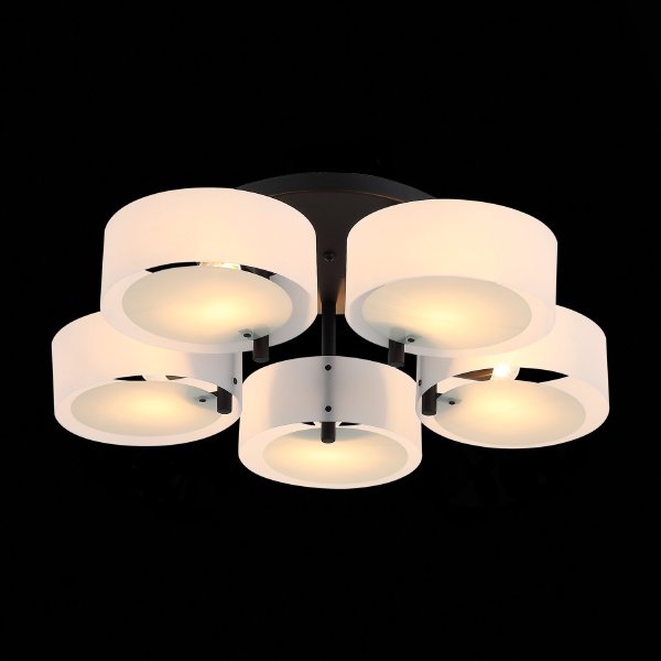 Потолочная люстра Foresta SL483.402.05