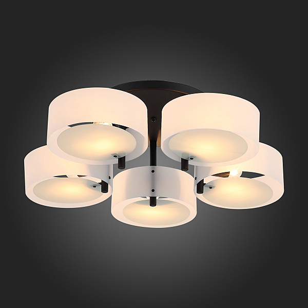 Потолочная люстра Foresta SL483.402.05