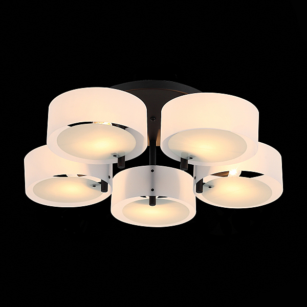 Потолочная люстра Foresta SL483.402.05