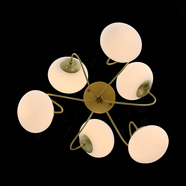 Потолочная люстра Acini SL717.202.06