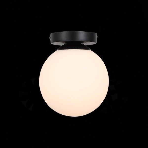 Светильник потолочный Acini SL717.401.01