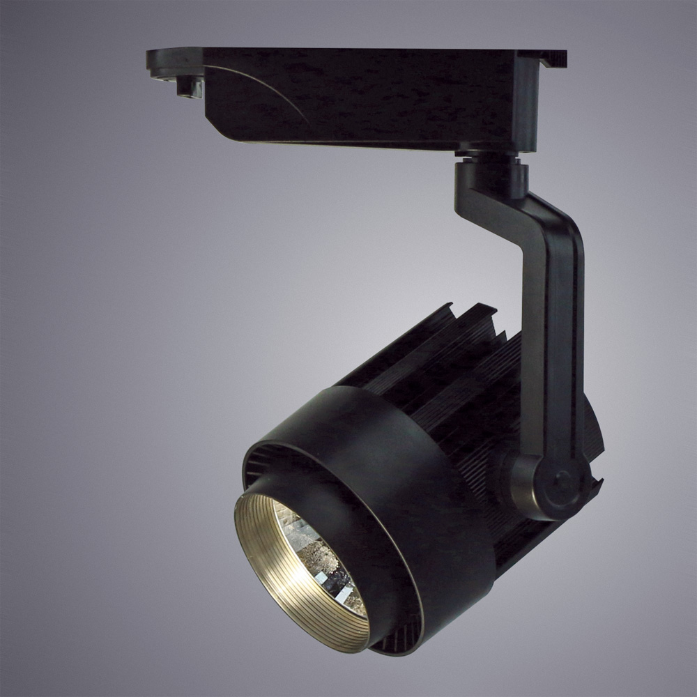 Vigile