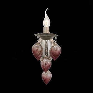 Настенное бра Frutti SL659.201.01