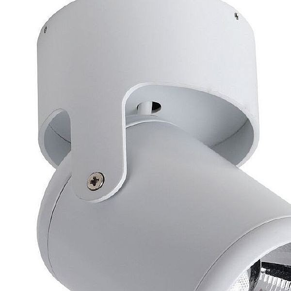 Светильник спот Projector 1980-1U