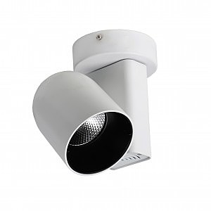 Светильник спот Projector 1984-1U