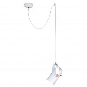 Светильник подвесной Ampolla 2008-1P