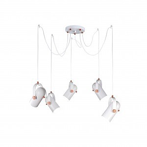 Светильник подвесной Ampolla 2008-5P