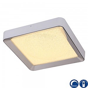 Светильник потолочный Male 5920