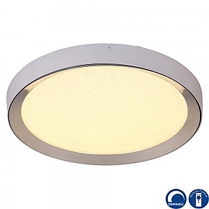 Светильник потолочный Male 5922