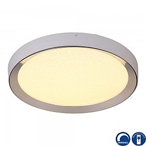 Светильник потолочный Male 5923