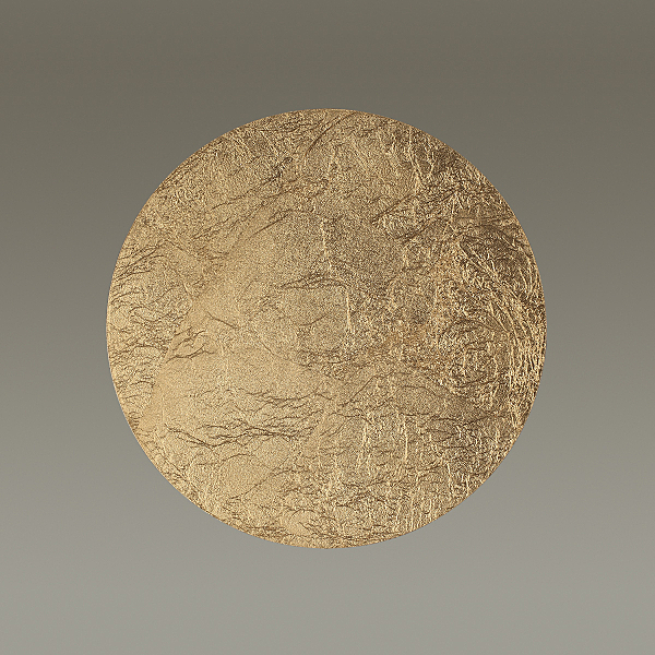 Настенно потолочный светильник Solario 3561/12WL