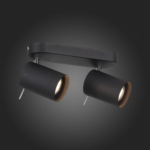 Светильник спот Fanale SL597.401.02