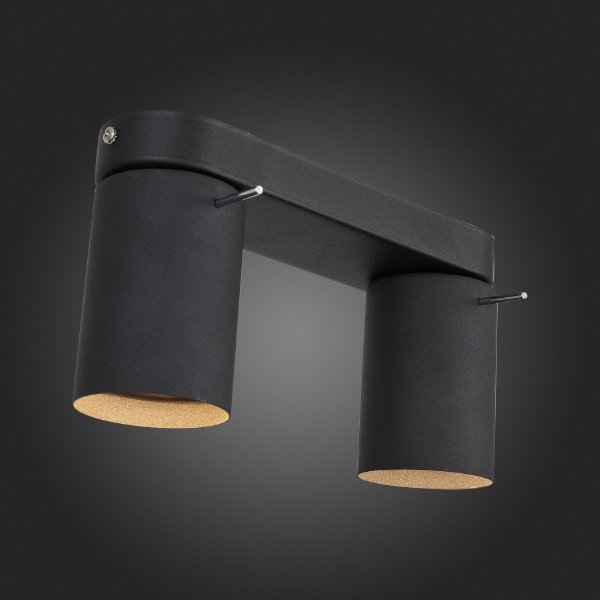 Светильник спот Fanale SL597.401.02