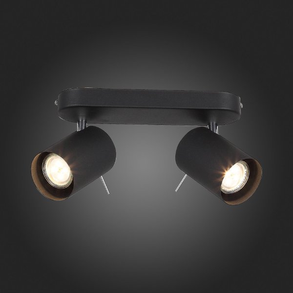 Светильник спот Fanale SL597.401.02